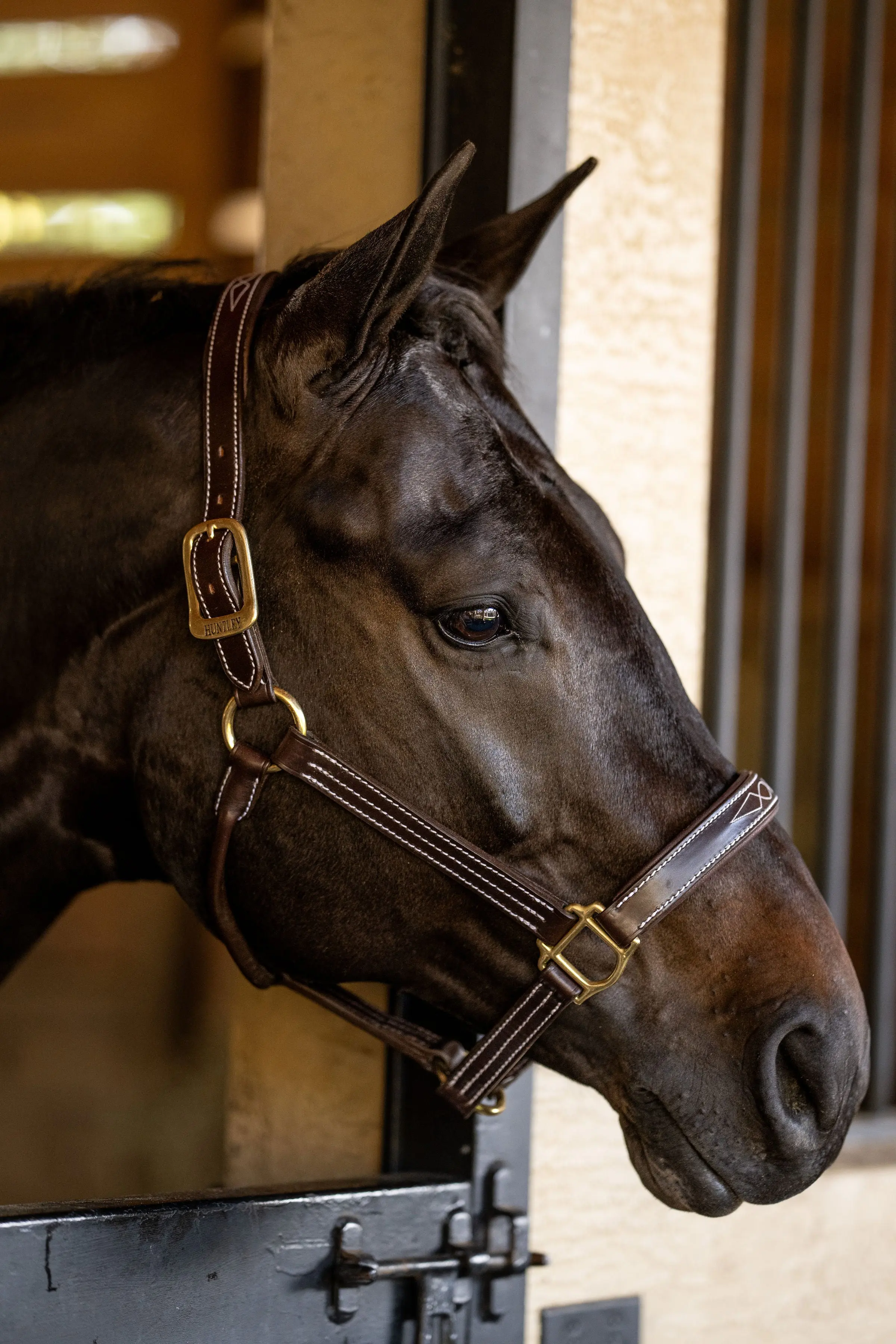 Huntley Equestrian Fancy Stitched Premium Leather Padded Halter - Image 3
