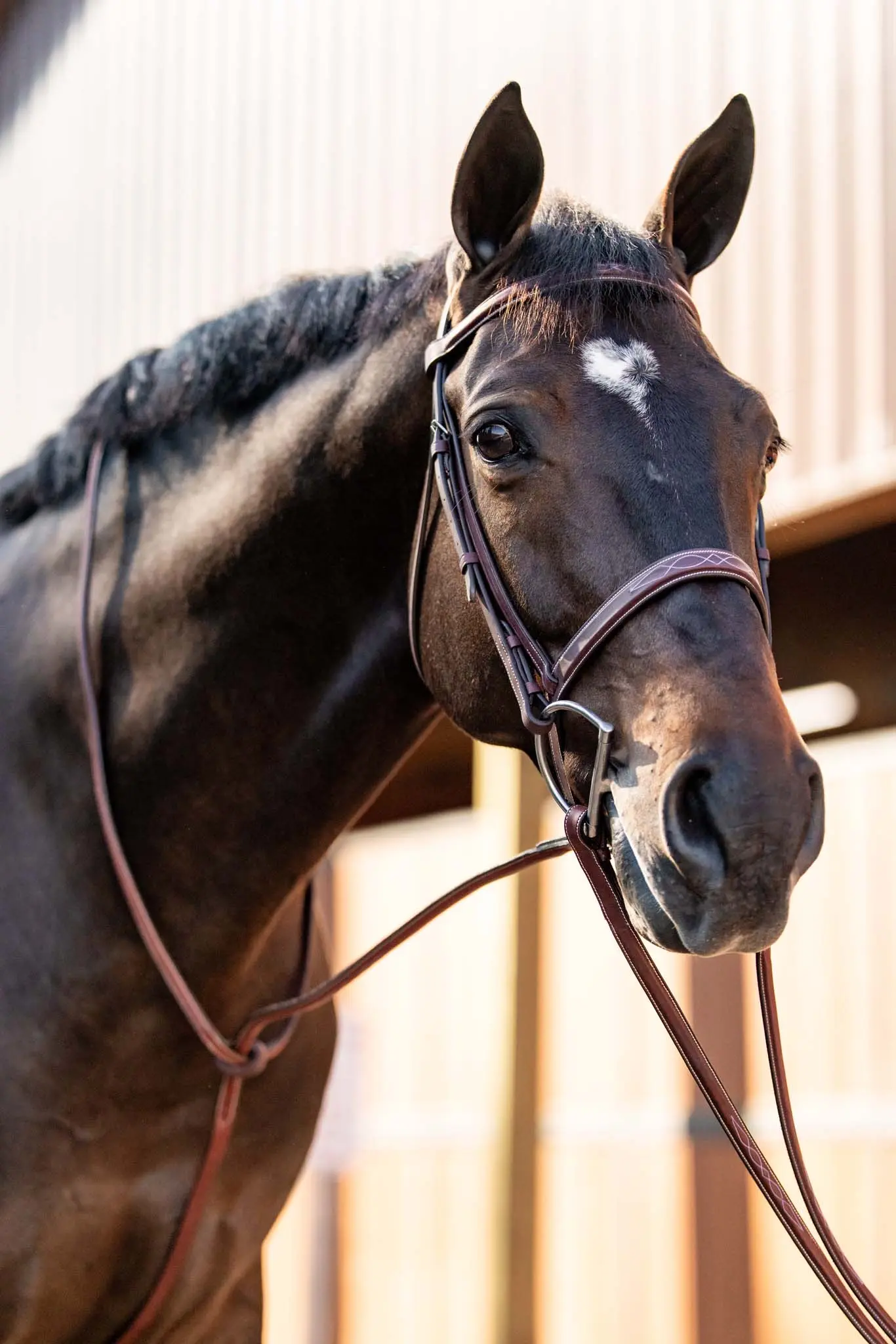 Huntley Equestrian Fancy Stitched Schooling Hunter Bridle with Reins - Image 3