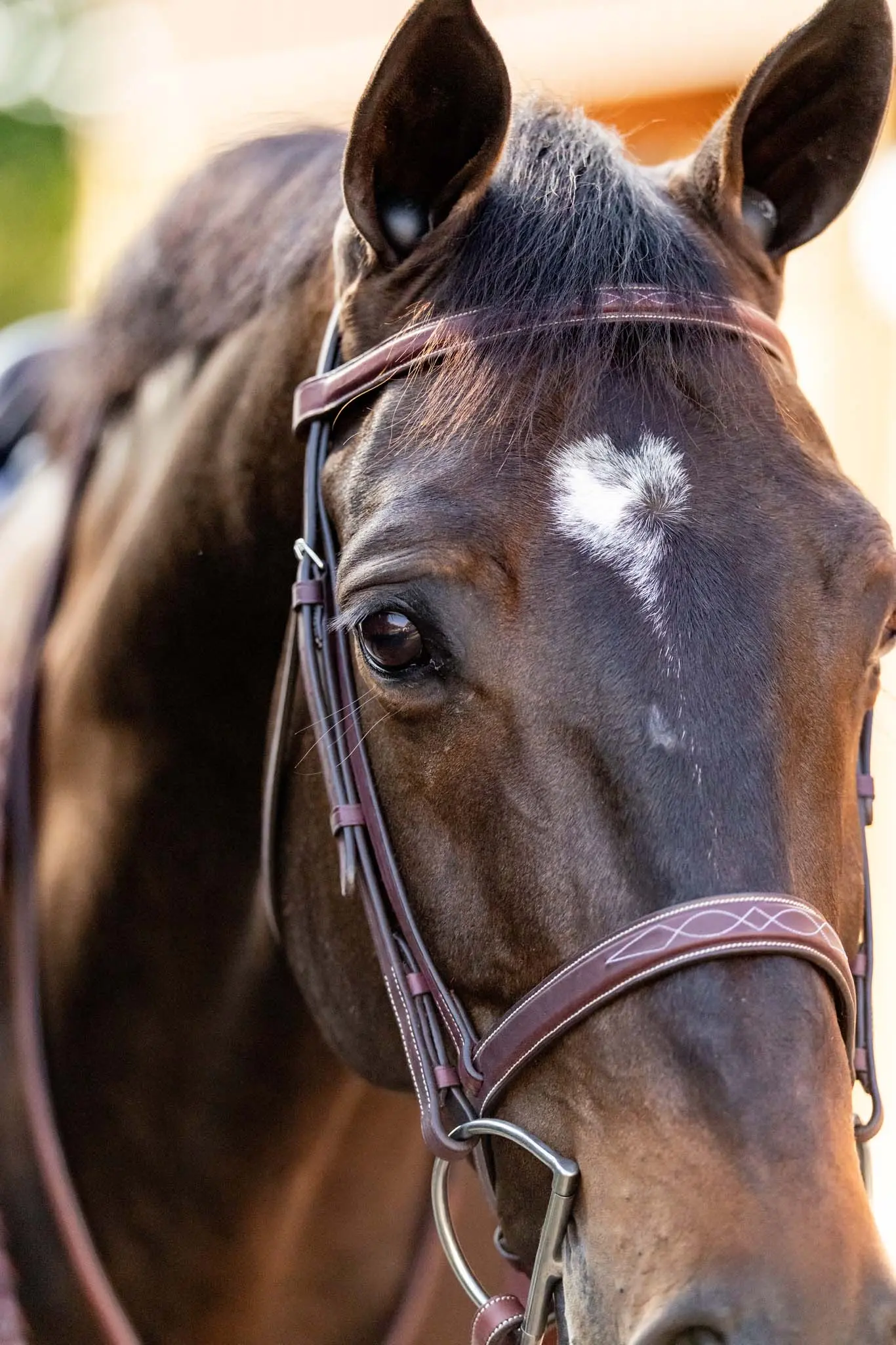 Huntley Equestrian Fancy Stitched Schooling Hunter Bridle with Reins - Image 4