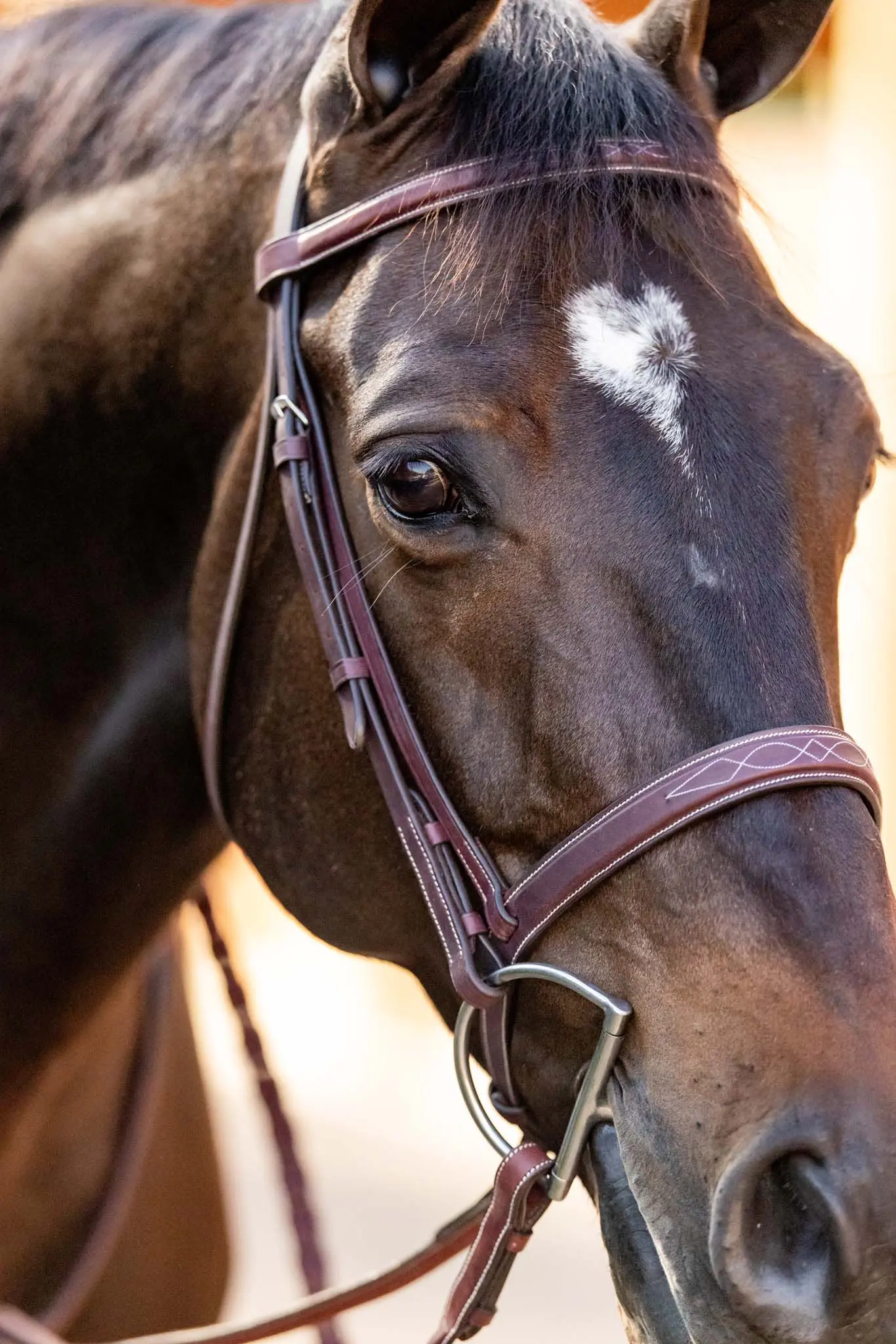 Huntley Equestrian Fancy Stitched Schooling Hunter Bridle with Reins - Image 5