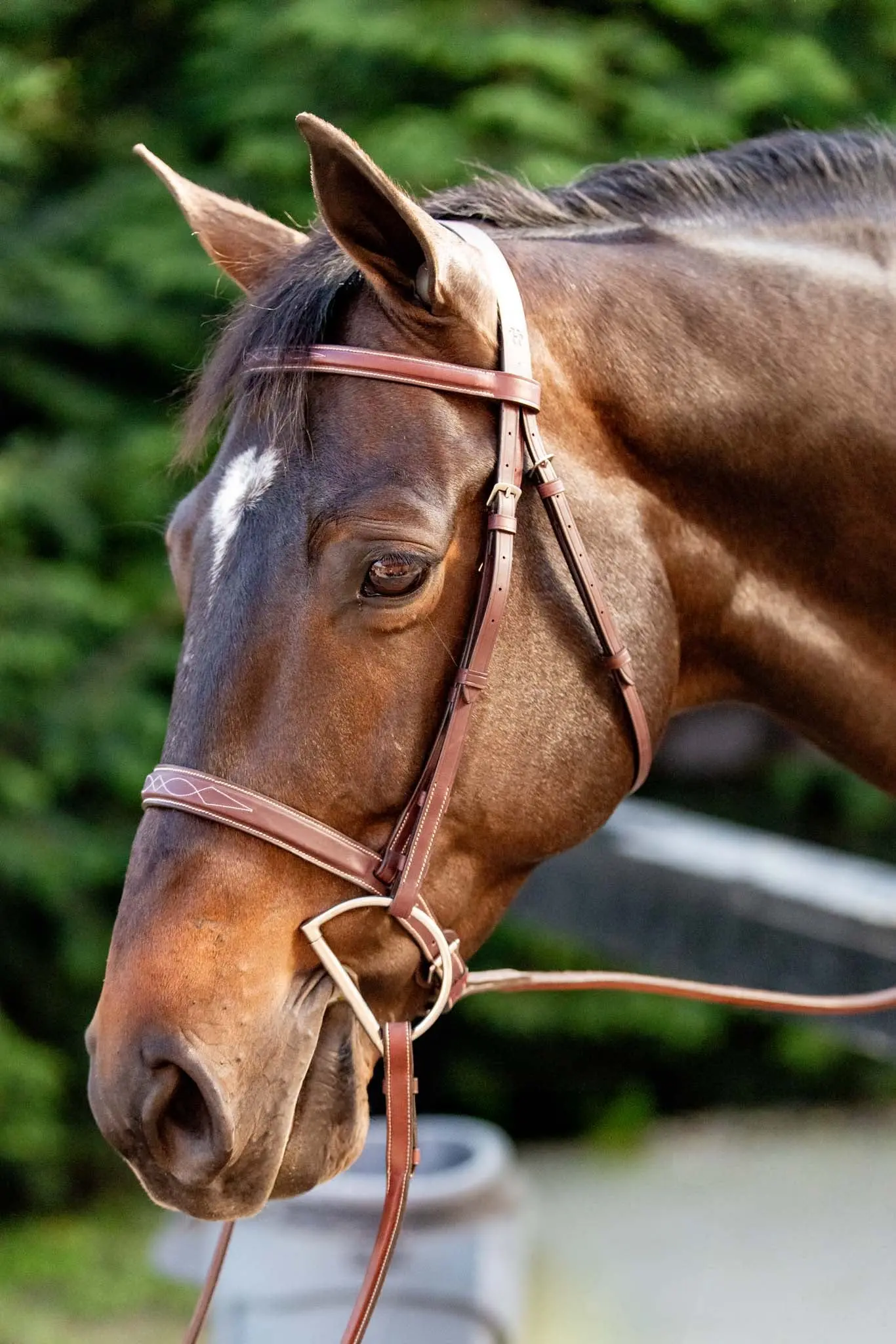Huntley Equestrian Fancy Stitched Schooling Hunter Bridle with Reins - Image 6