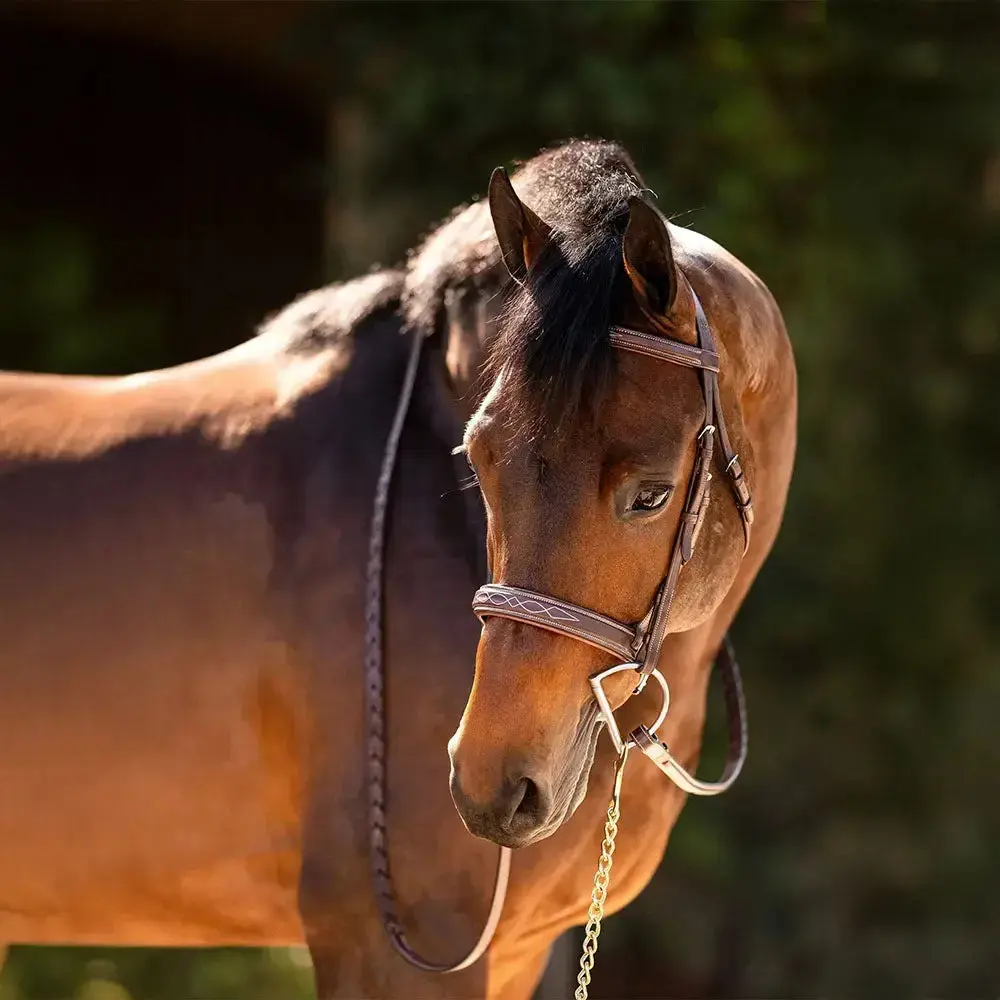 Huntley Equestrian Fancy Stitched Sedgwick Leather Padded Bridle with Reins - Image 7