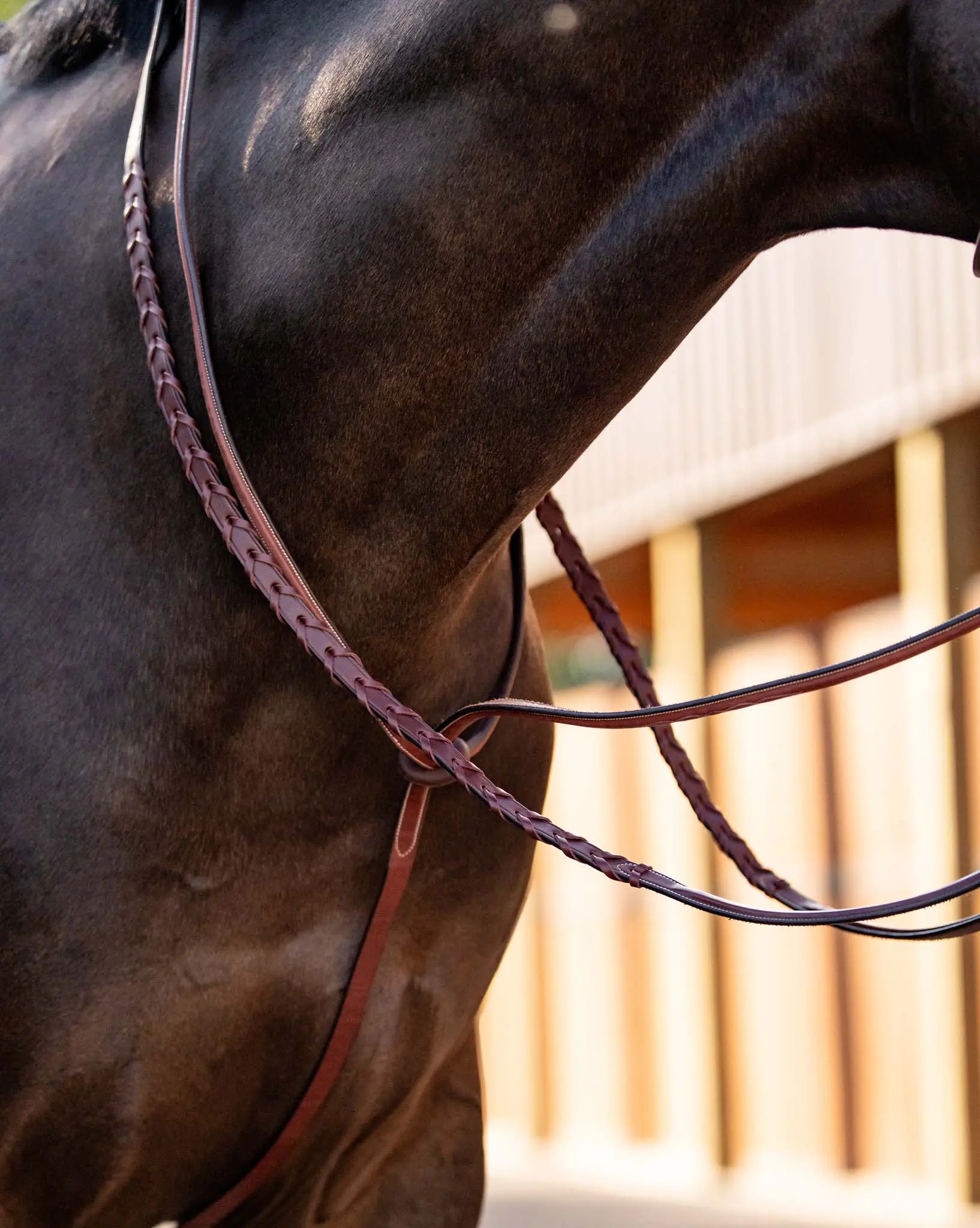 Huntley Equestrian Schooling Standing Martingale, Italian Leather - Image 3