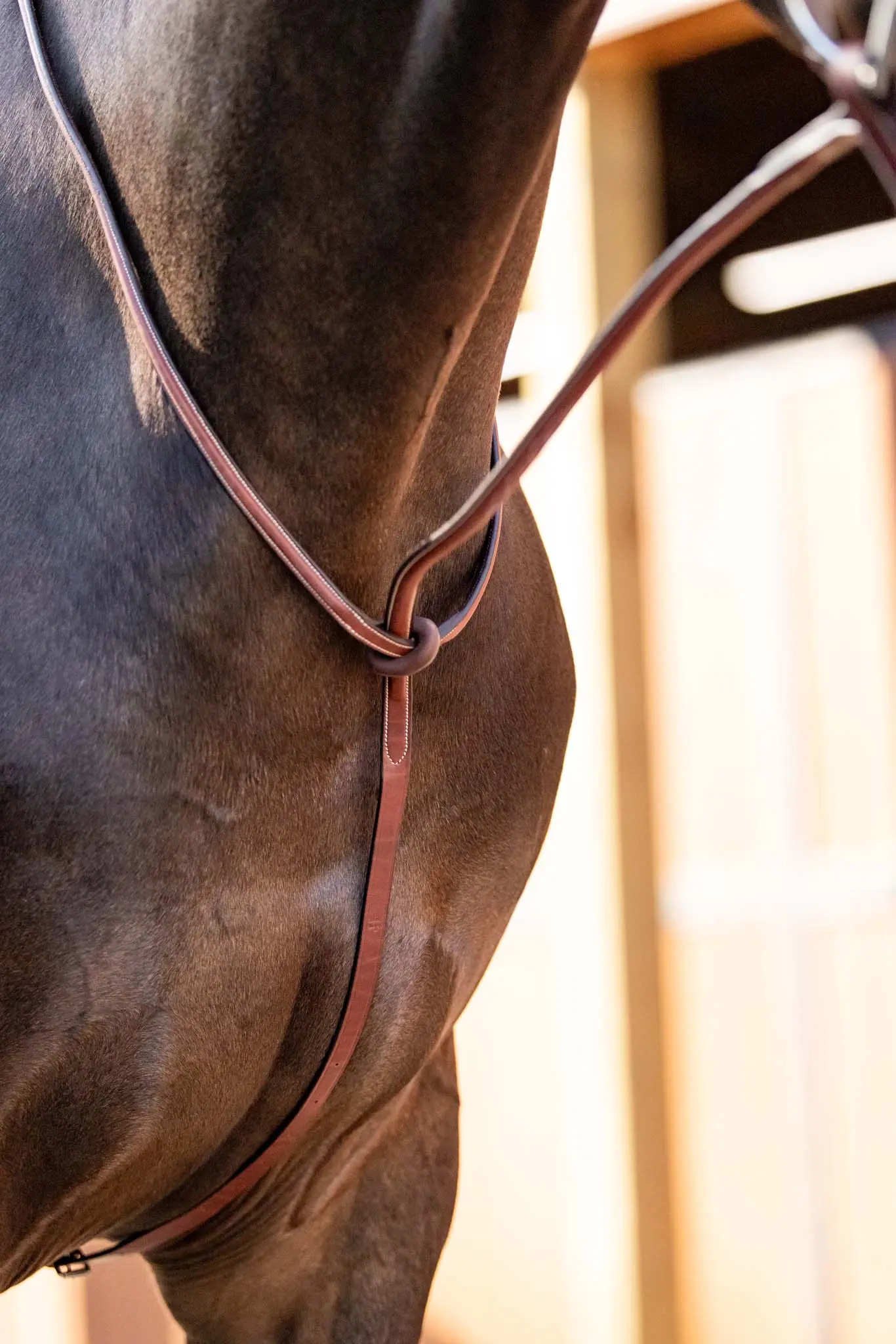 Huntley Equestrian Schooling Standing Martingale, Italian Leather - Image 4