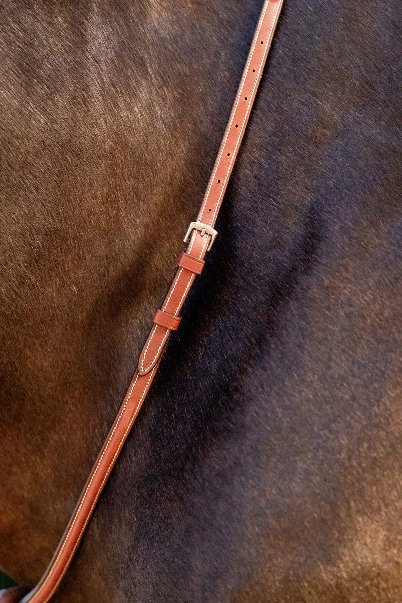 Huntley Equestrian Schooling Standing Martingale, Italian Leather - Image 5