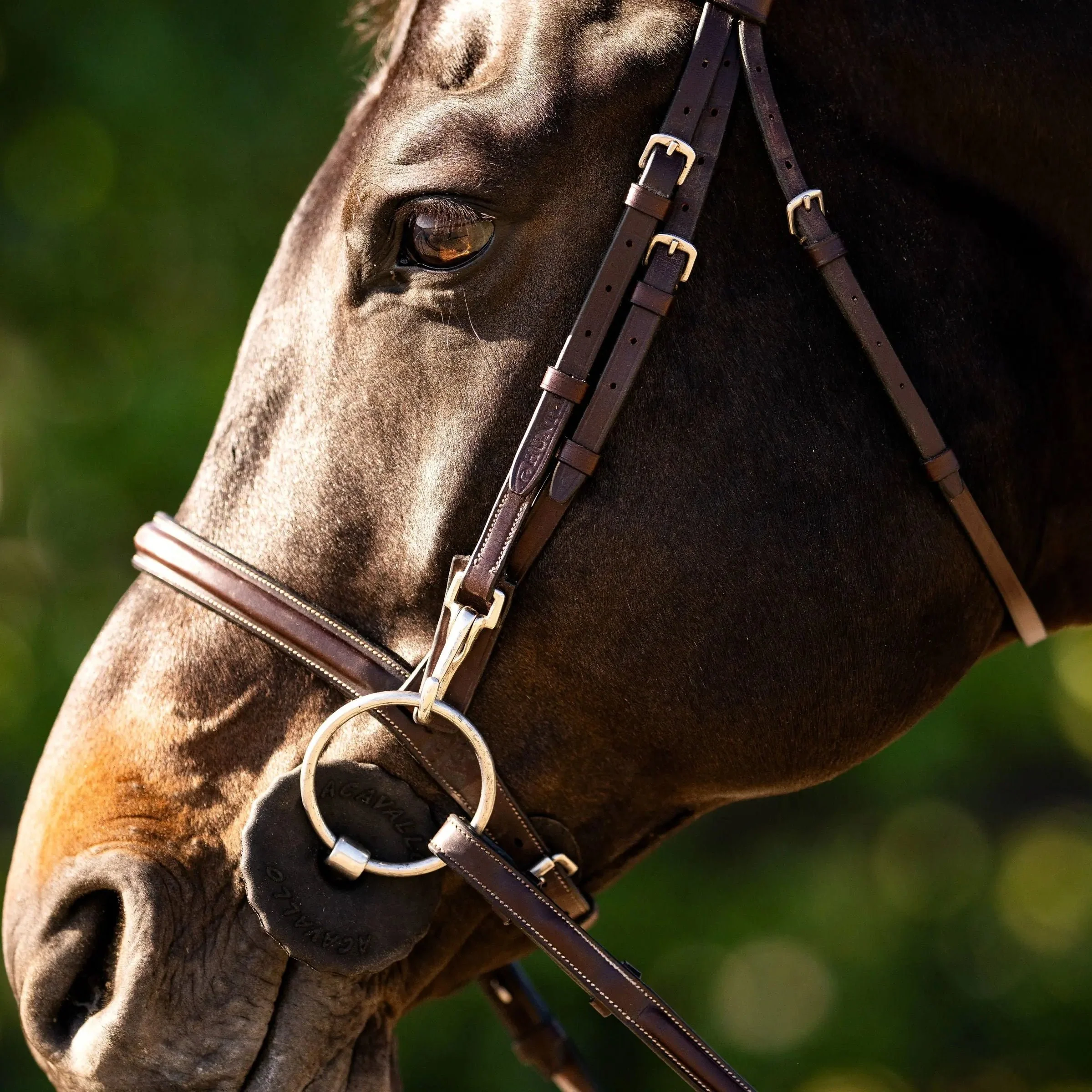 Huntley Equestrian Sedgwick Fancy Stitched Bridle with Cheek Clips and Reins - Image 5
