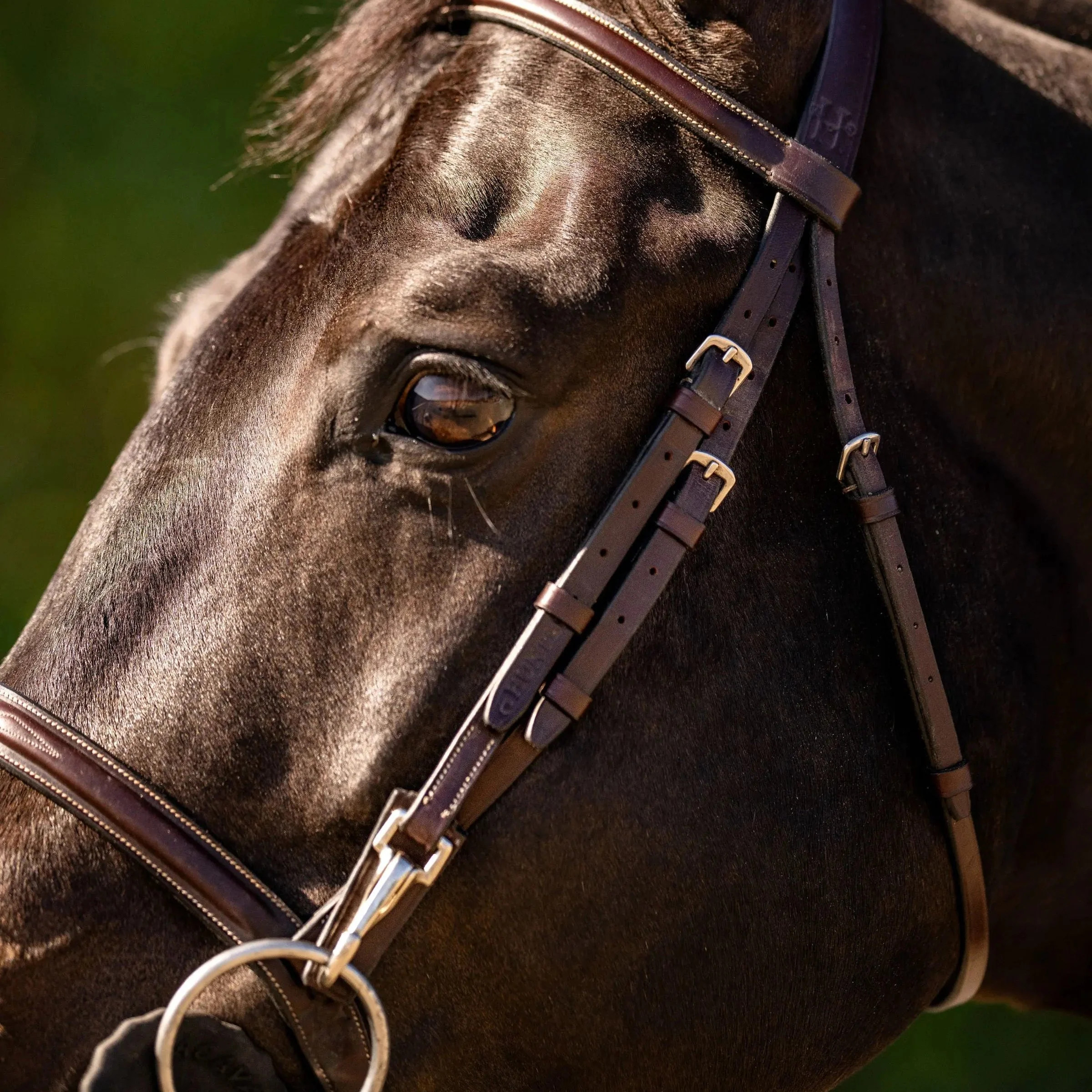 Huntley Equestrian Sedgwick Fancy Stitched Bridle with Cheek Clips and Reins - Image 6