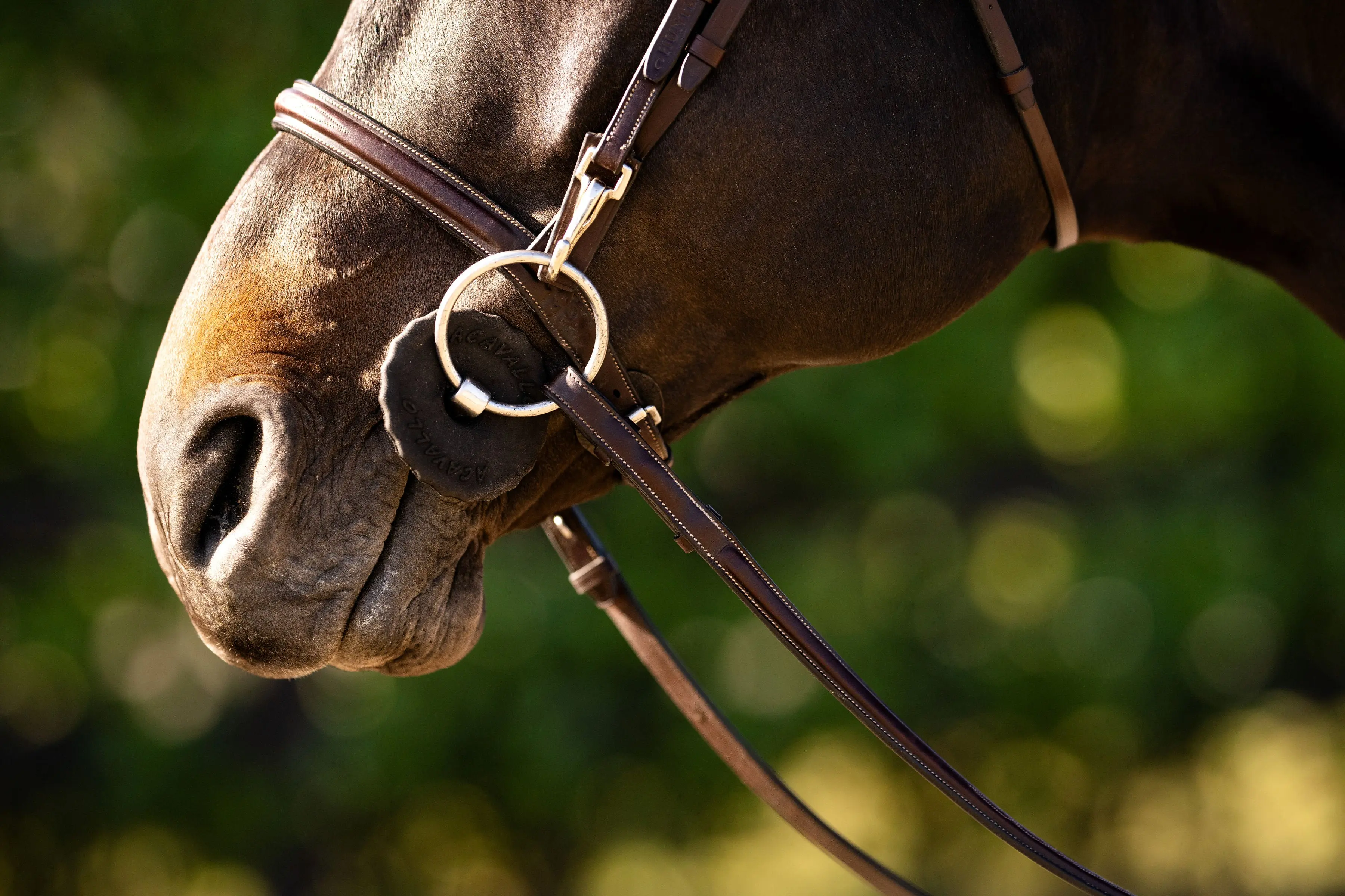 Huntley Equestrian Sedgwick Fancy Stitched Bridle with Cheek Clips and Reins - Image 9