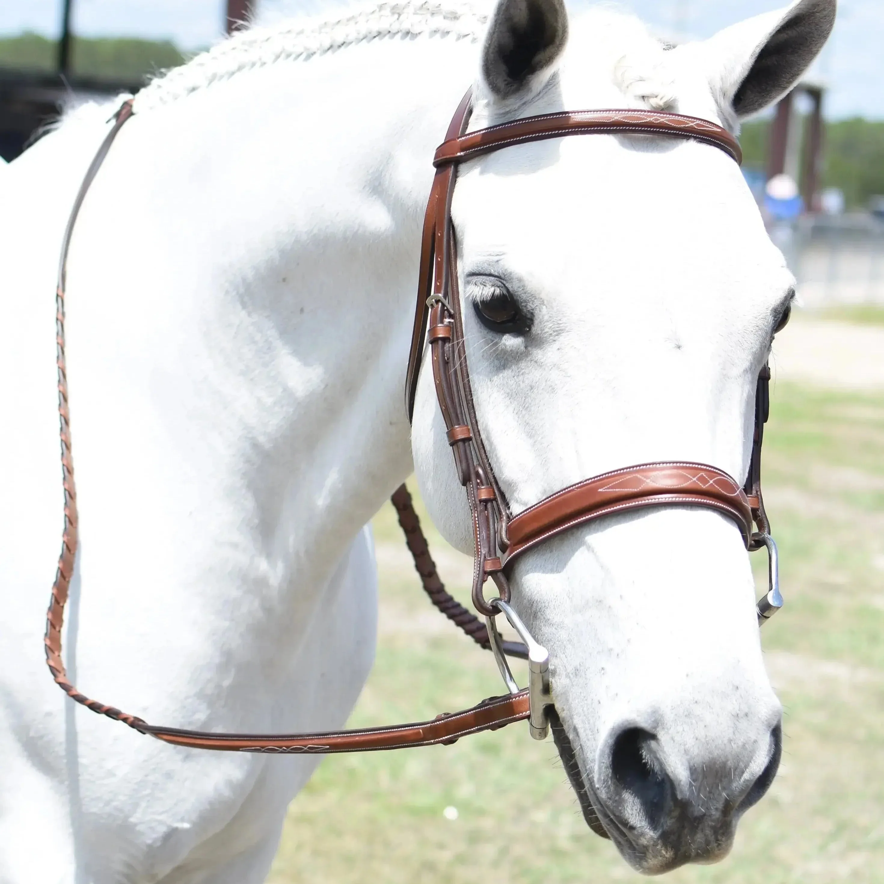 Huntley Equestrian Sedgwick Fancy Stitched Square Raised Hunter Horse Bridle with Reins - Image 10