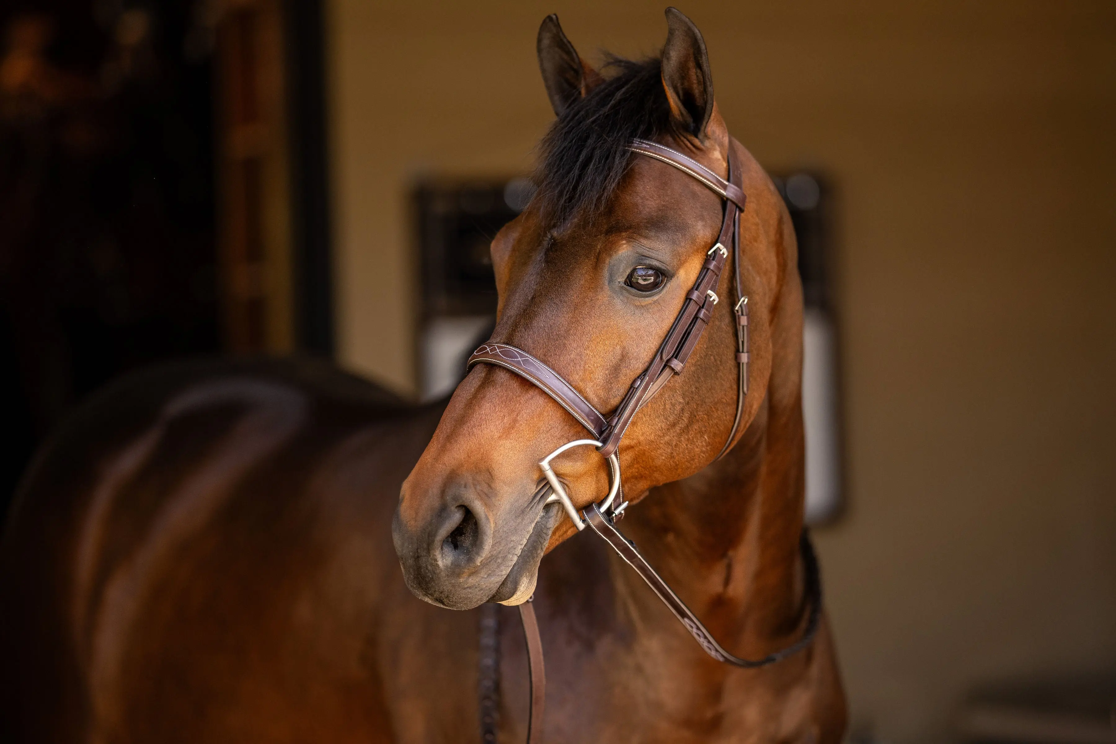 Huntley Equestrian Sedgwick Fancy Stitched Square Raised Hunter Horse Bridle with Reins - Image 3