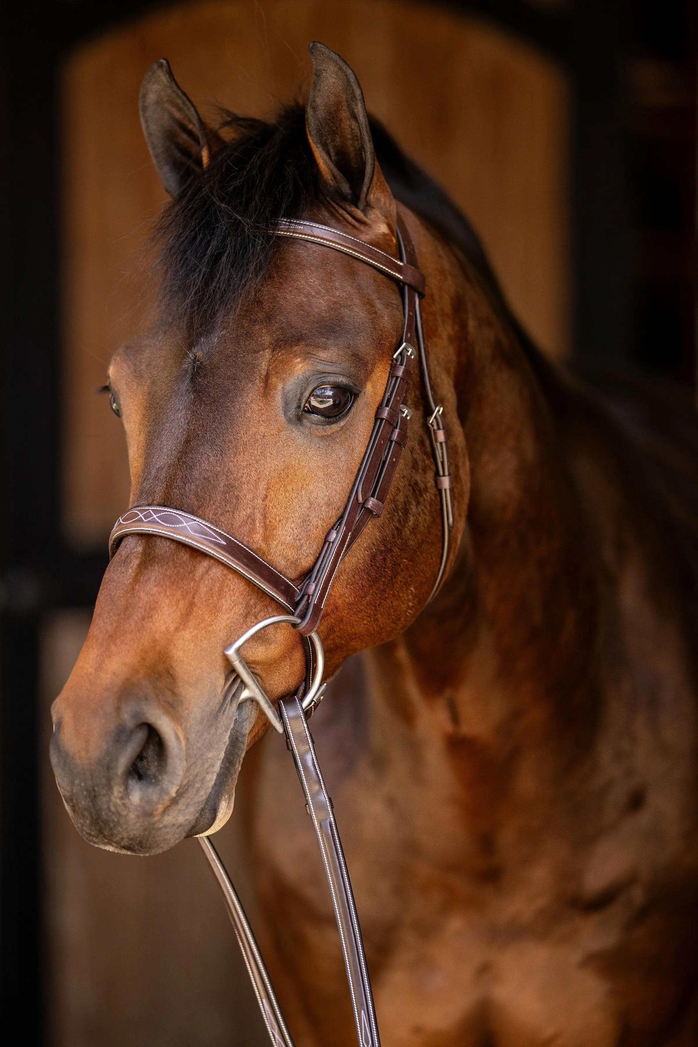 Huntley Equestrian Sedgwick Fancy Stitched Square Raised Hunter Horse Bridle with Reins - Image 5