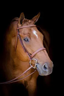 Huntley Equestrian Sedgwick Leather Fancy Stitched English Bridle Pieces - Image 6