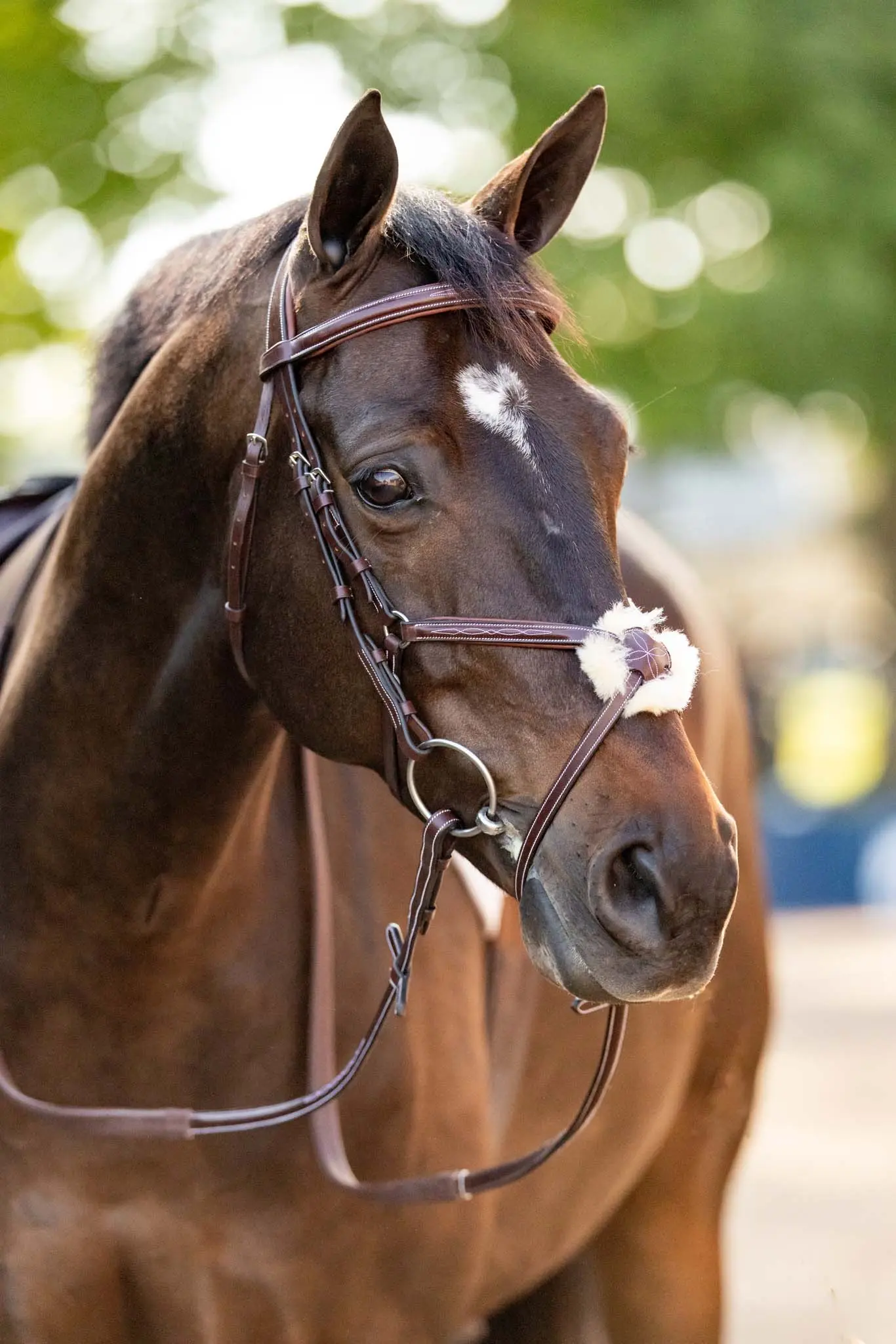 Huntley Equestrian Sedgwick Leather Padded Monocrown Figure 8 Bridle - Image 3