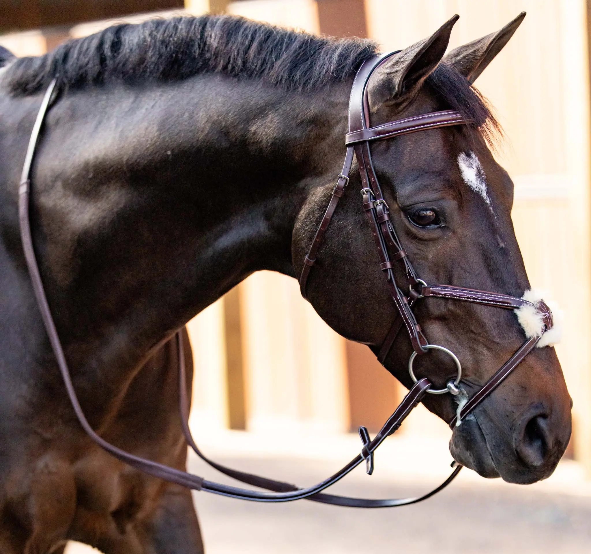 Huntley Equestrian Sedgwick Leather Padded Monocrown Figure 8 Bridle - Image 4