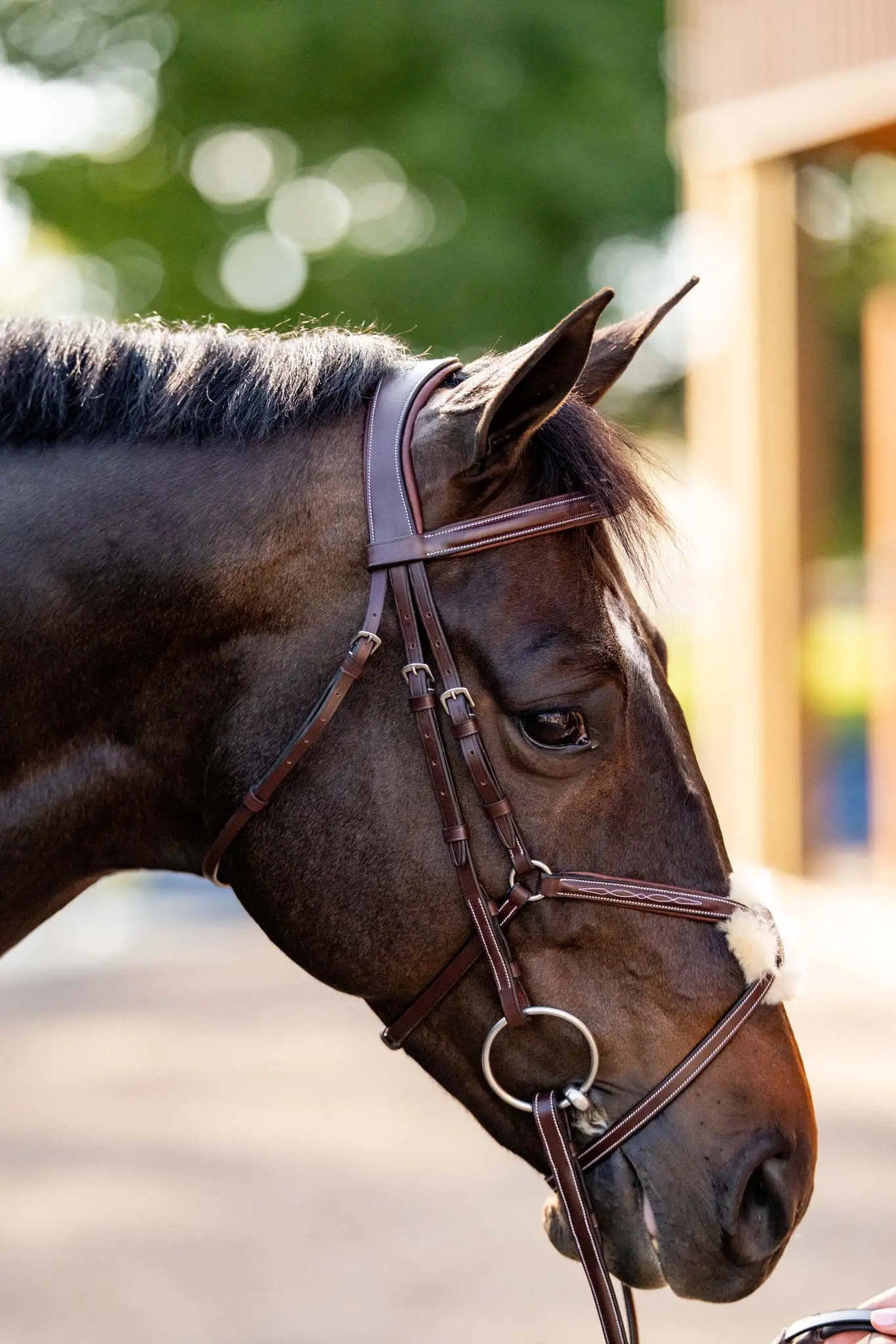 Huntley Equestrian Sedgwick Leather Padded Monocrown Figure 8 Bridle - Image 5