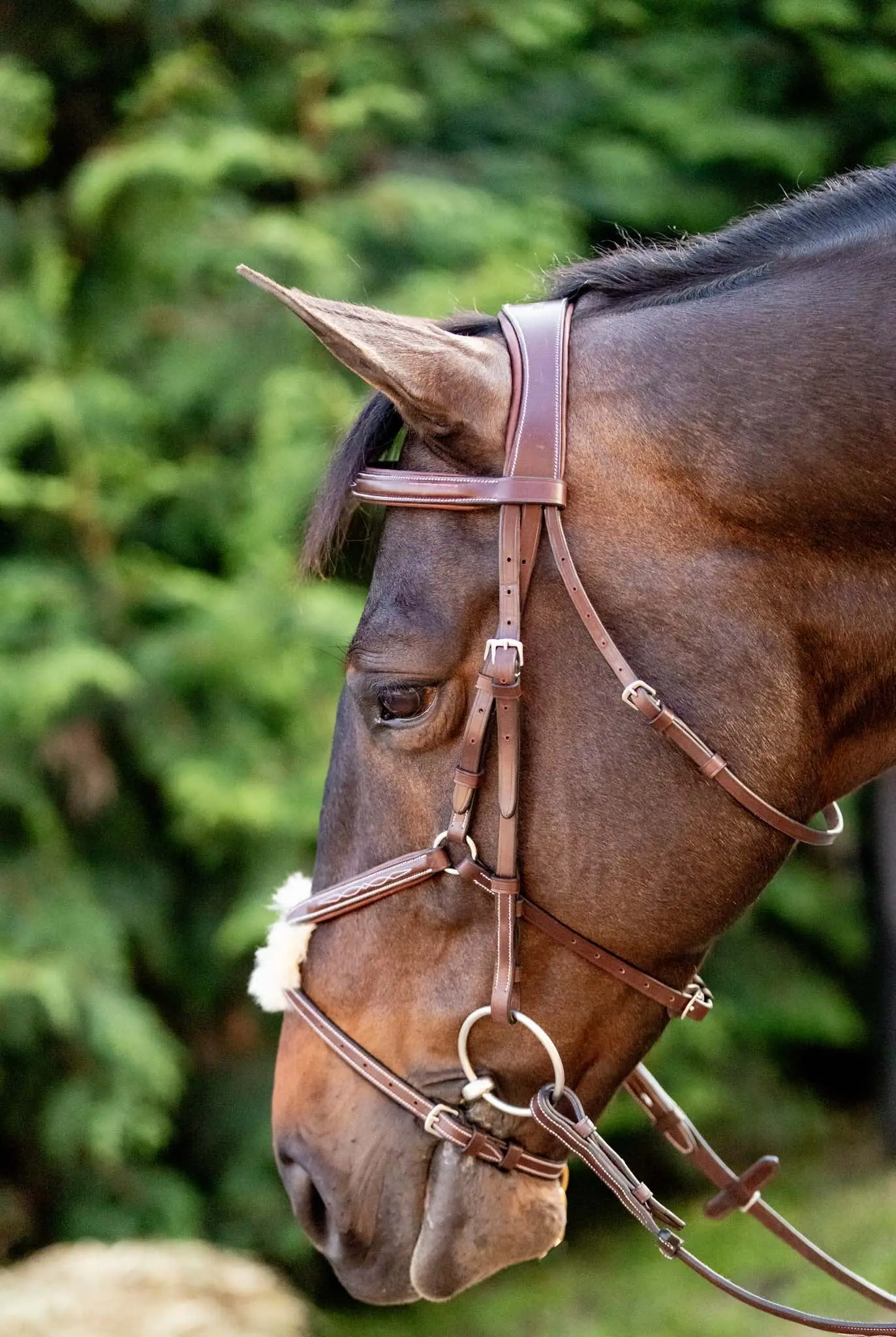 Huntley Equestrian Sedgwick Leather Padded Monocrown Figure 8 Bridle - Image 7