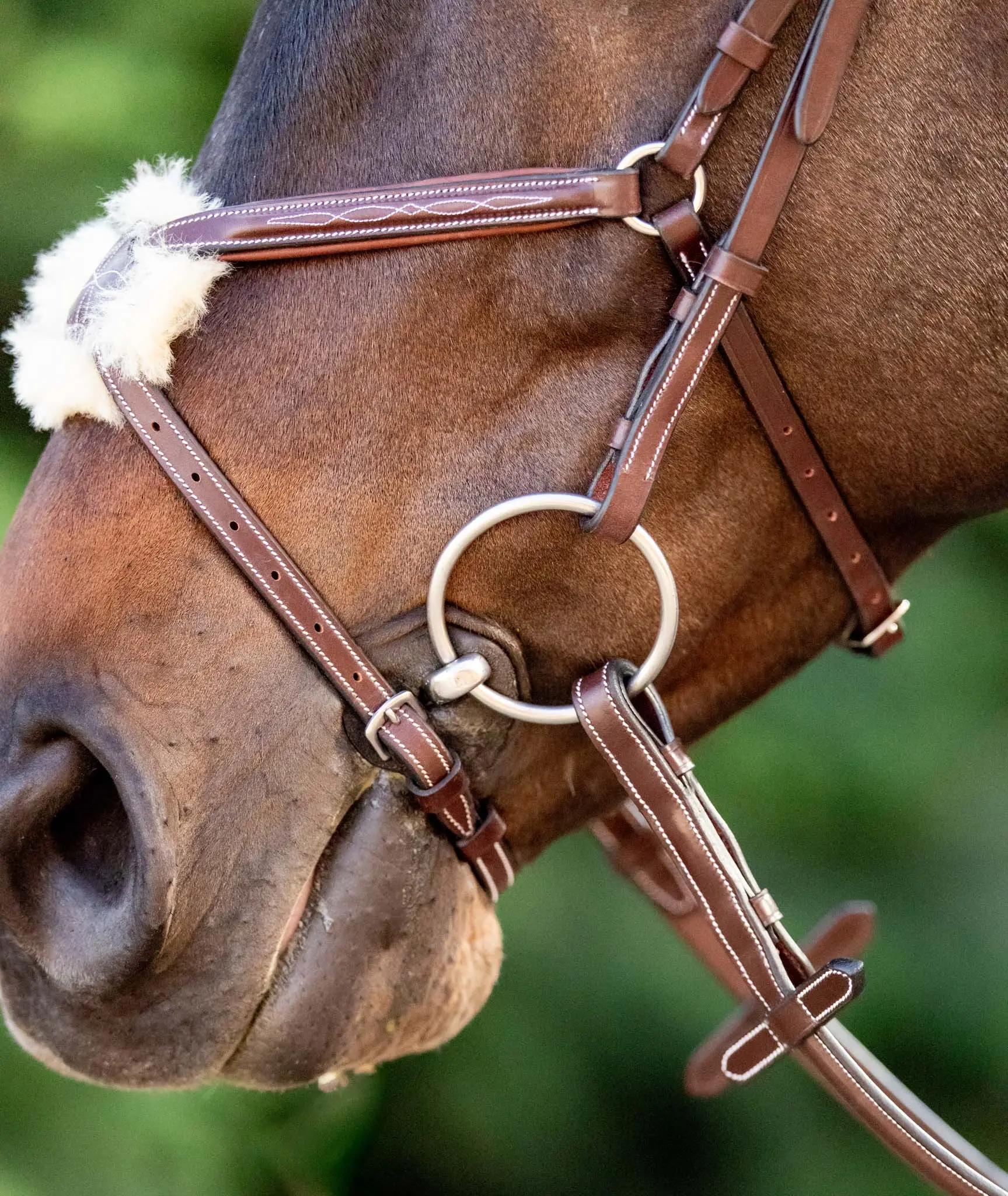 Huntley Equestrian Sedgwick Leather Padded Monocrown Figure 8 Bridle - Image 8