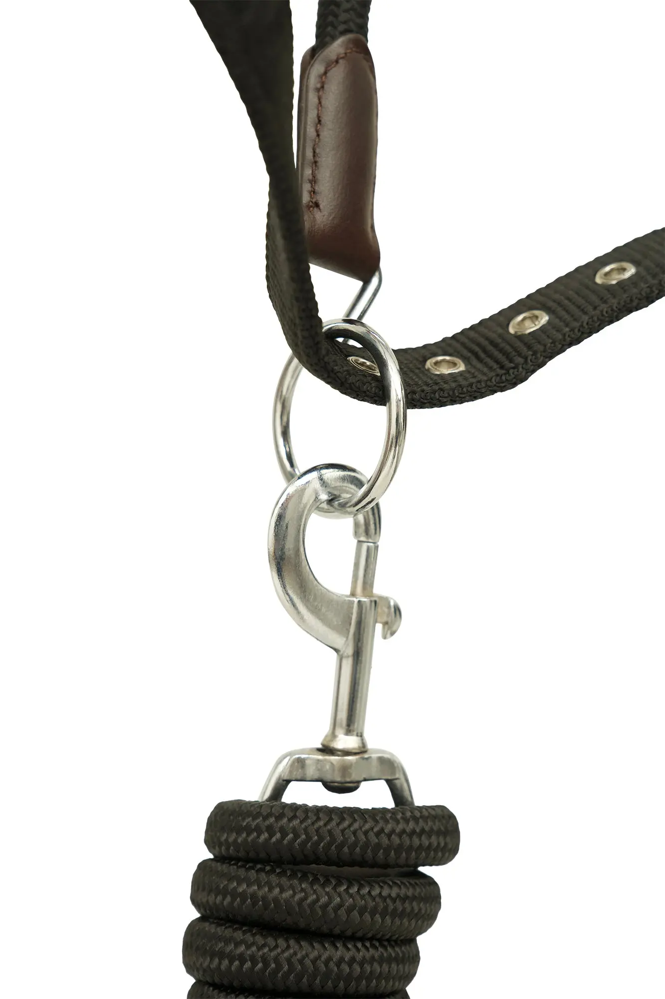 Huntley Nylon Halter and Removable Lead with Snap, Black - Image 3