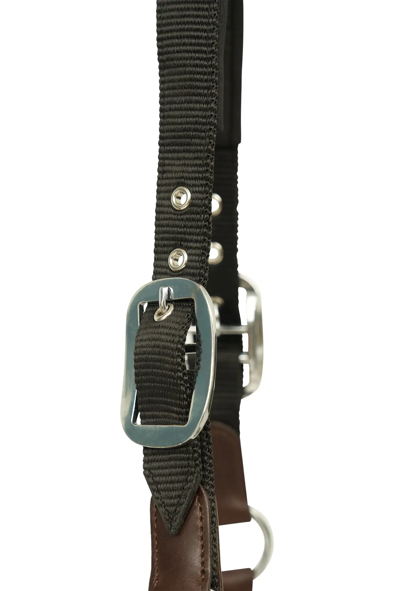 Huntley Nylon Halter and Removable Lead with Snap, Black - Image 5