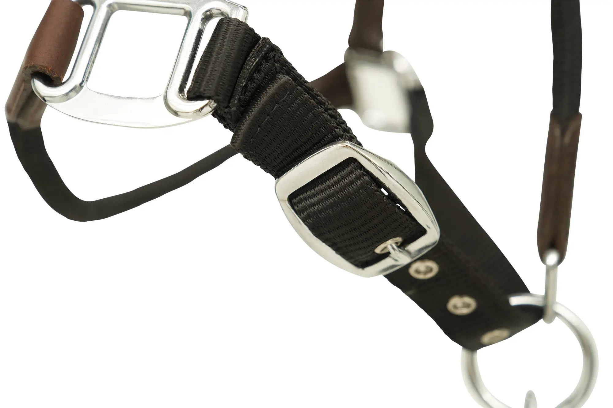 Huntley Nylon Halter and Removable Lead with Snap, Black - Image 7