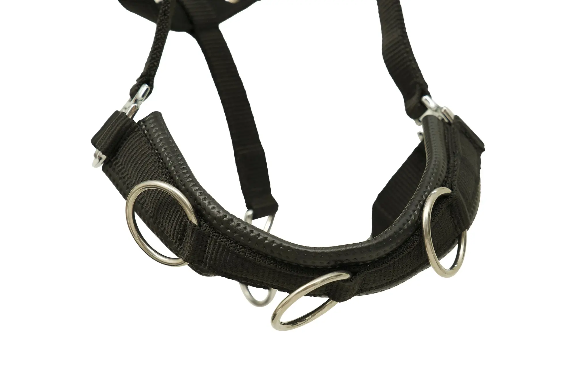 Huntley Nylon Padded Lunging Caveson, Black - Image 3