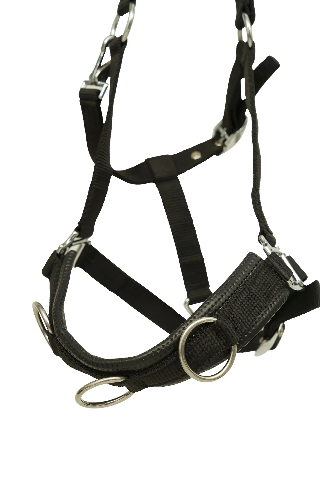 Huntley Nylon Padded Lunging Caveson, Black - Image 4