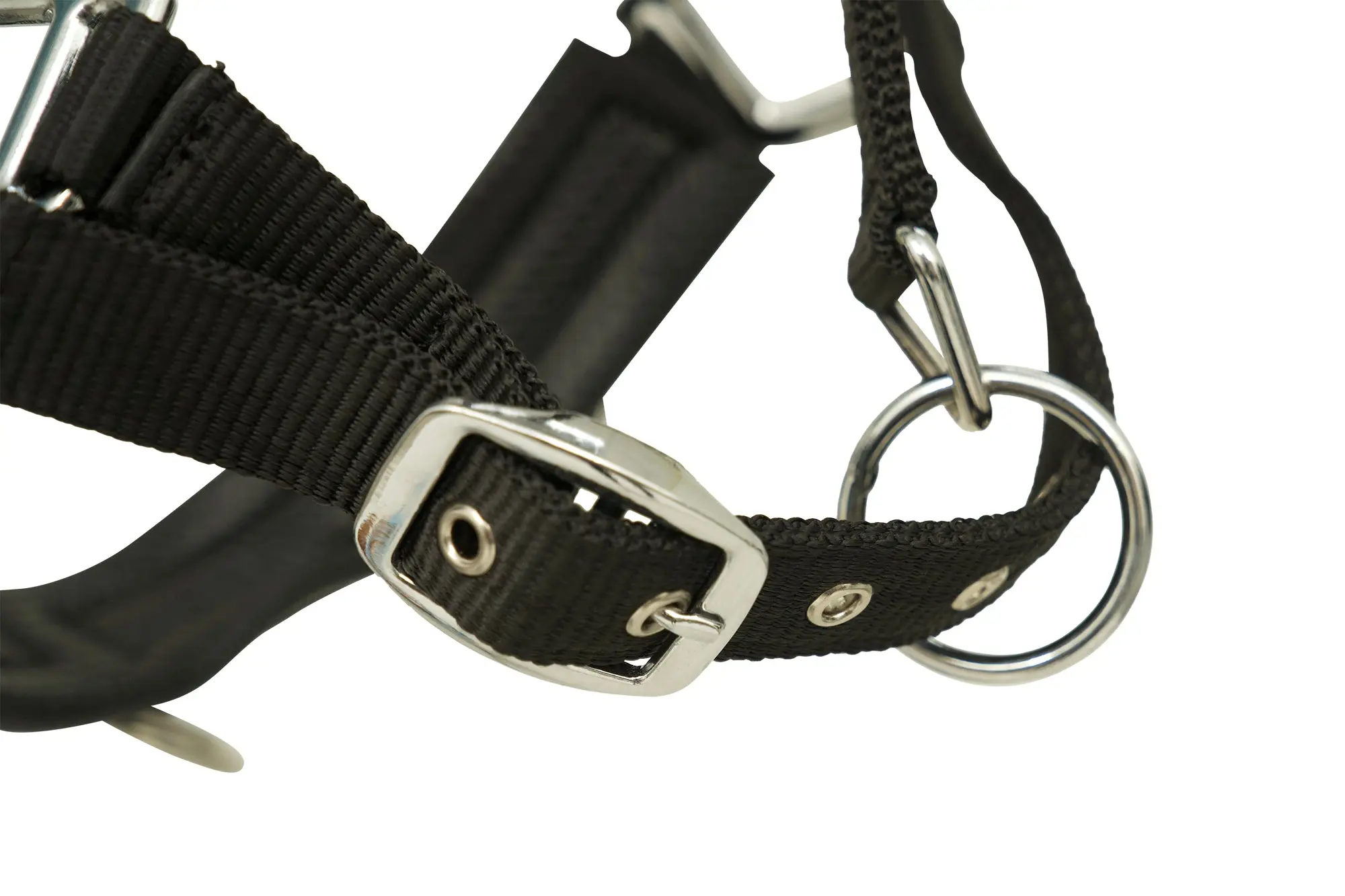 Huntley Nylon Padded Lunging Caveson, Black - Image 5