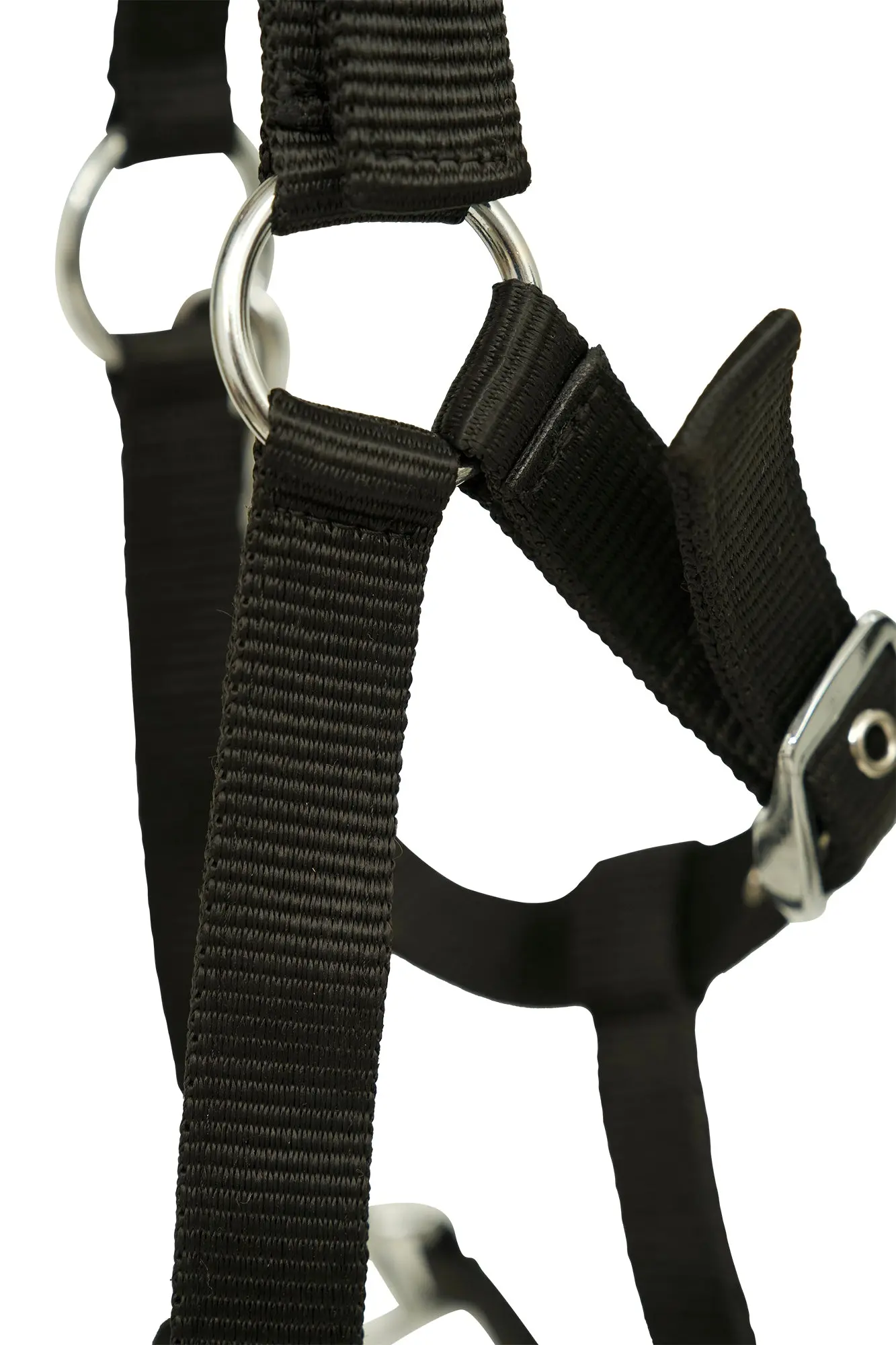 Huntley Nylon Padded Lunging Caveson, Black - Image 6
