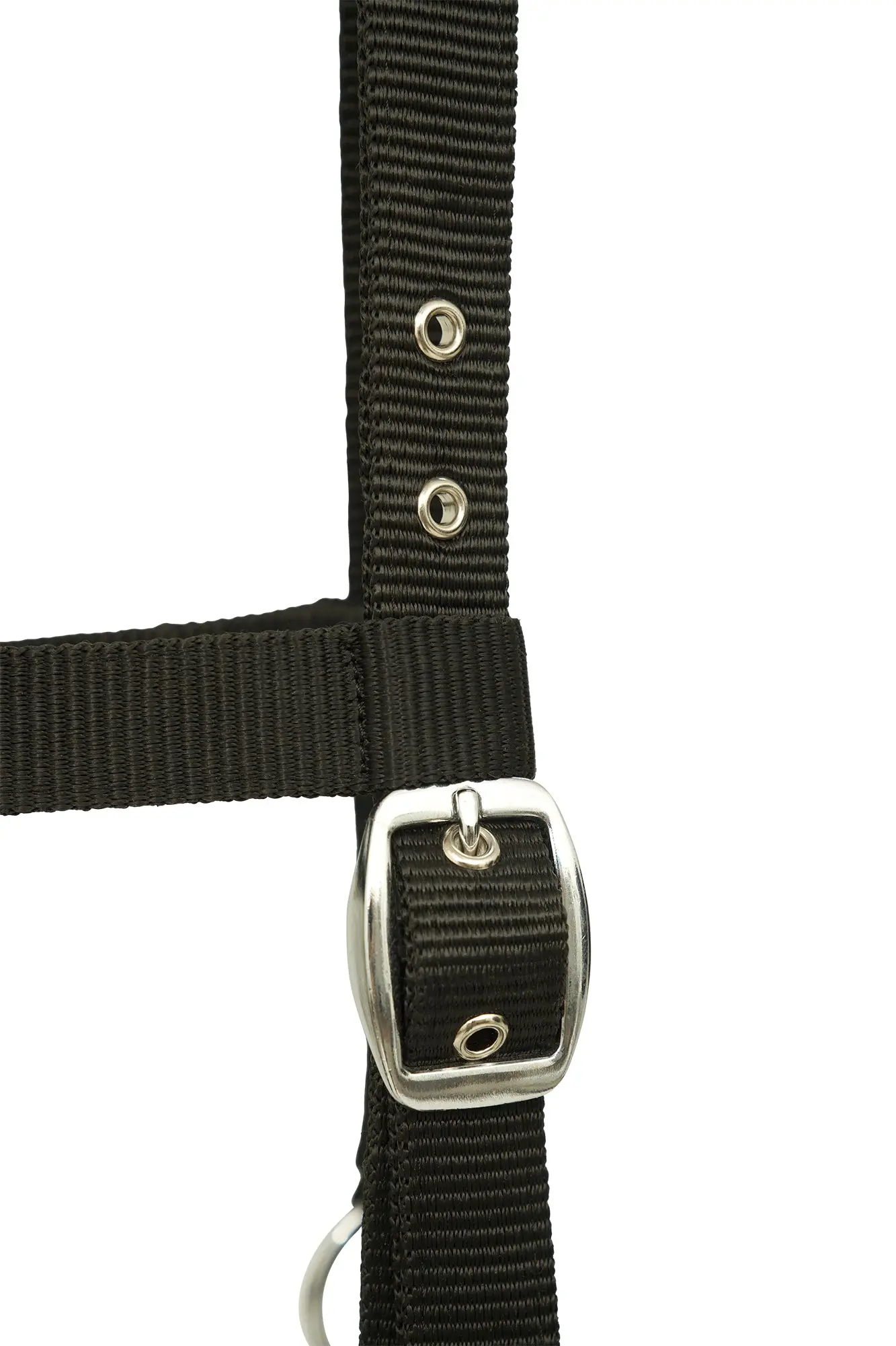 Huntley Nylon Padded Lunging Caveson, Black - Image 7