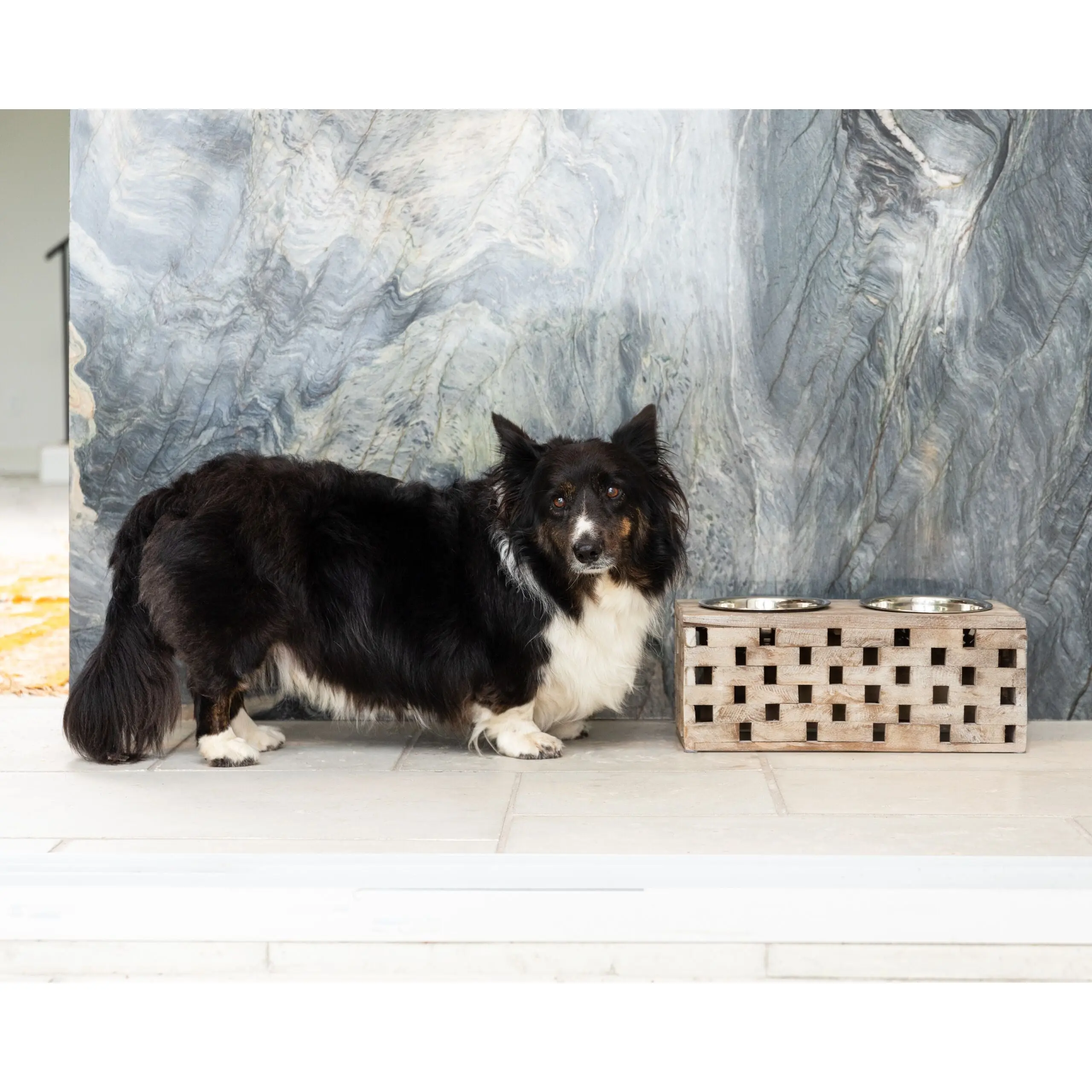 Huntley Pet Elevated Dog and Cat Double Bowl Feeder - Image 20