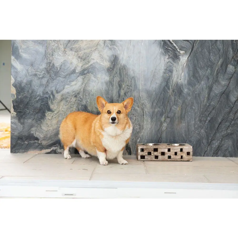 Huntley Pet Elevated Dog and Cat Double Bowl Feeder - Image 23